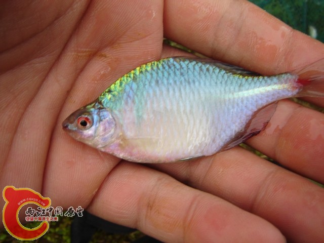 高兴的都拍花了