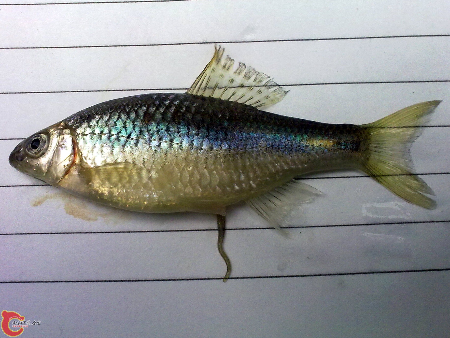 20100422522.jpg