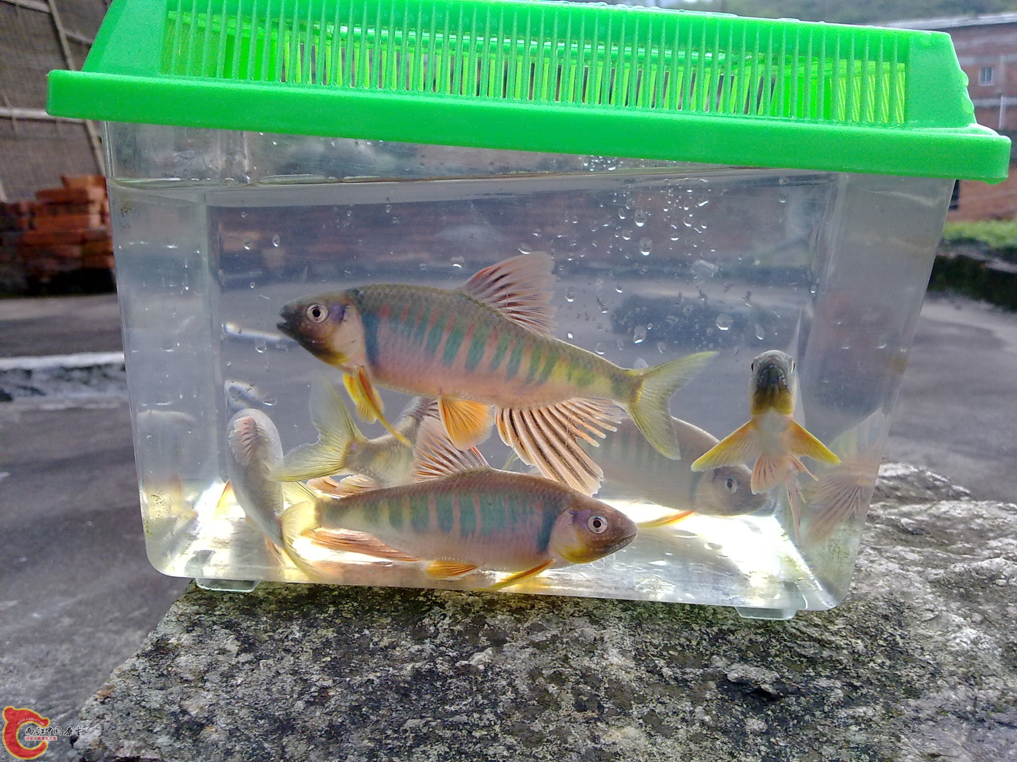20100425609.jpg