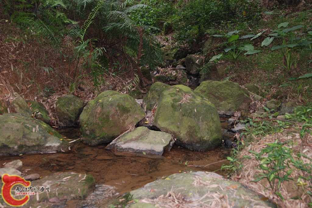 DSC_0553.JPG