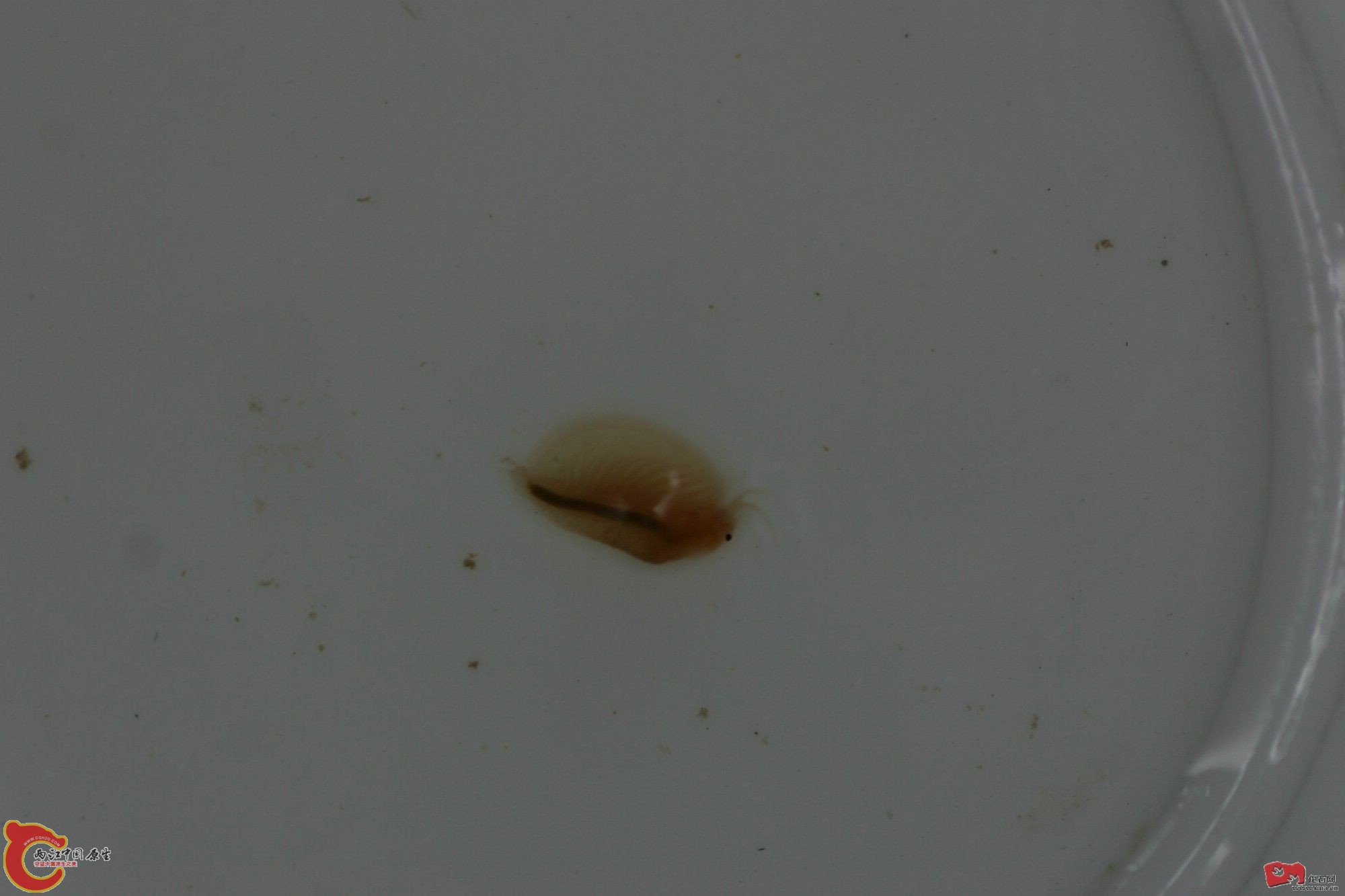 20080504_f88952ea60683e067e42mi60MpjchY5Q.jpg