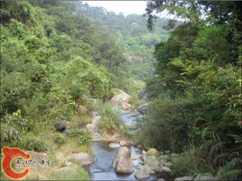 2010-4-27 12-59-51.jpg