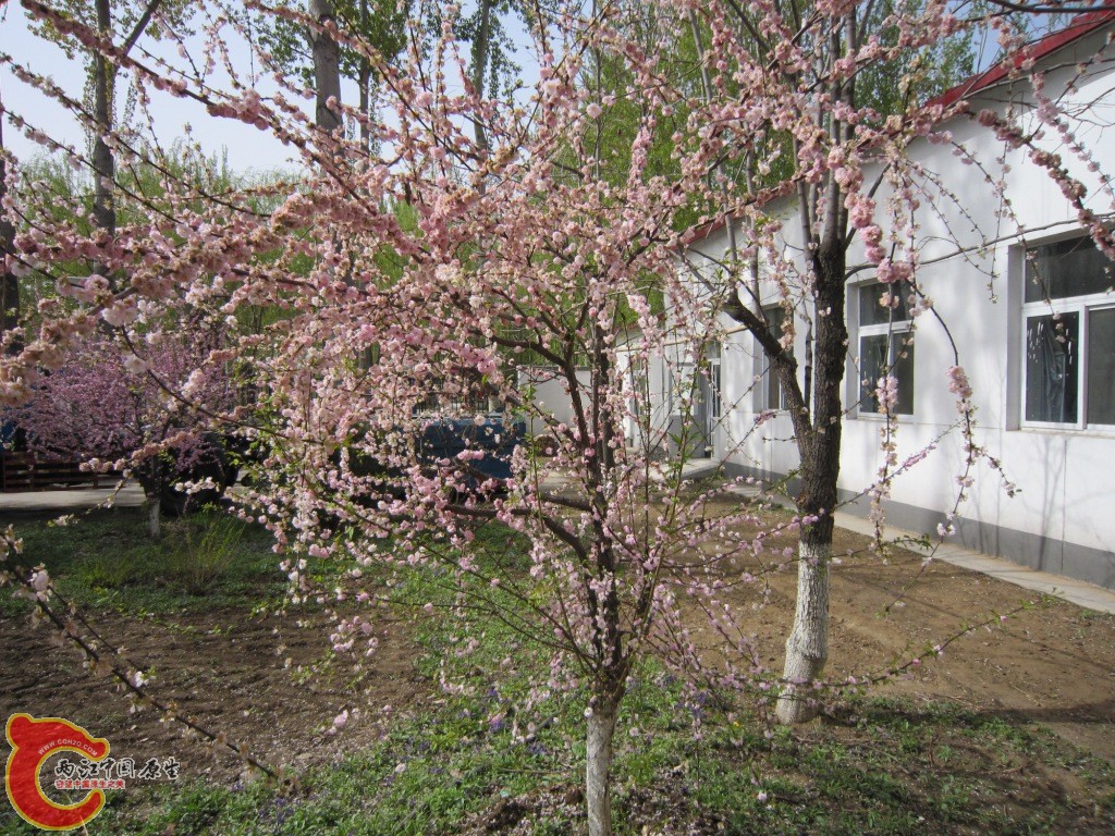 IMG_1897.JPG