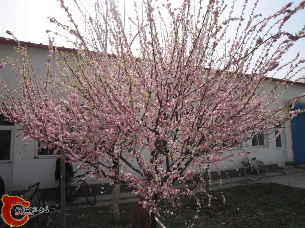 IMG_1923.JPG