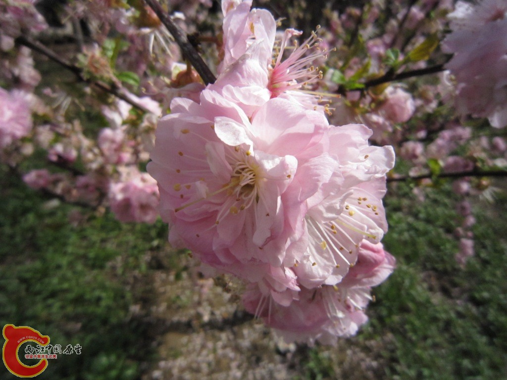 IMG_1912.JPG