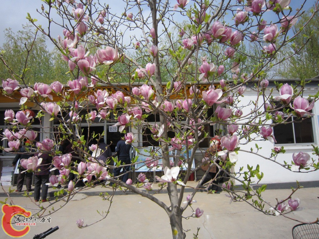 IMG_1944.JPG