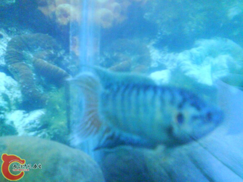 DSC00455.JPG