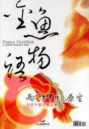 金鱼物语.jpg