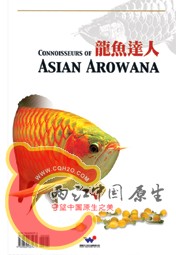 龙鱼达人.jpg