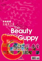 孔雀鱼之美.jpg