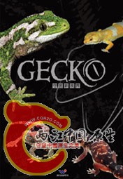 守宫新视界.jpg