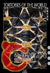 陆龟全纪录.jpg