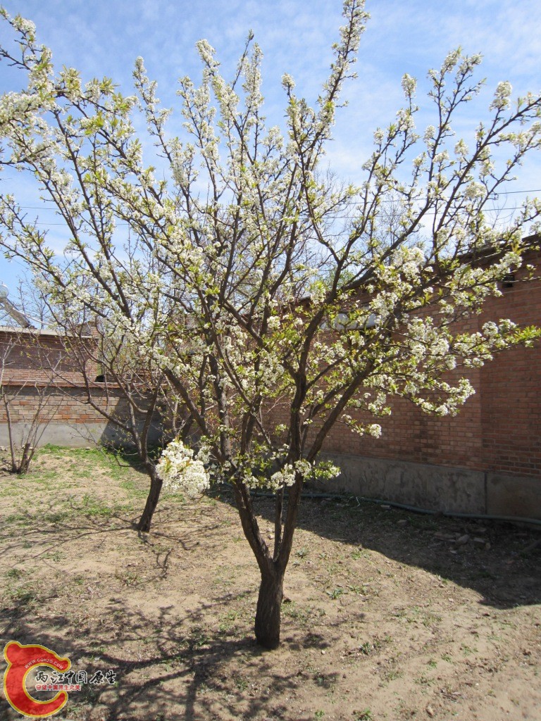 IMG_1951.JPG