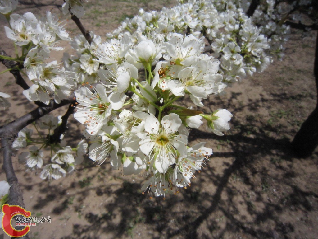 IMG_1957.JPG