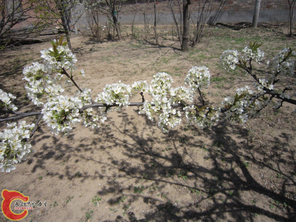 IMG_1959.JPG
