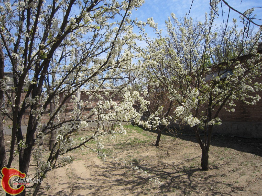 IMG_1975.JPG