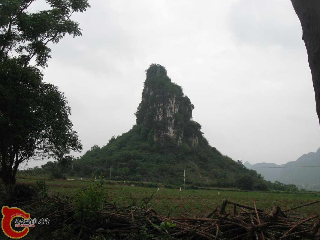 路边的山
