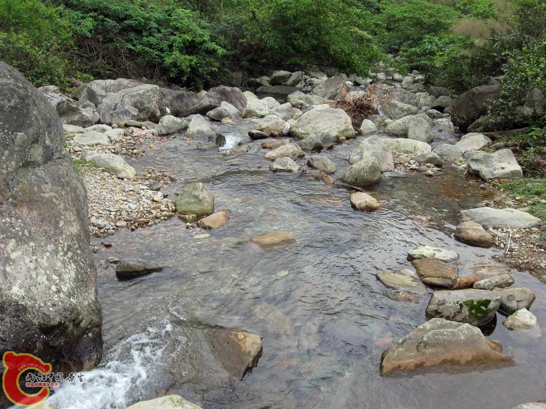 这也是下游,但这条小河水质很不错,