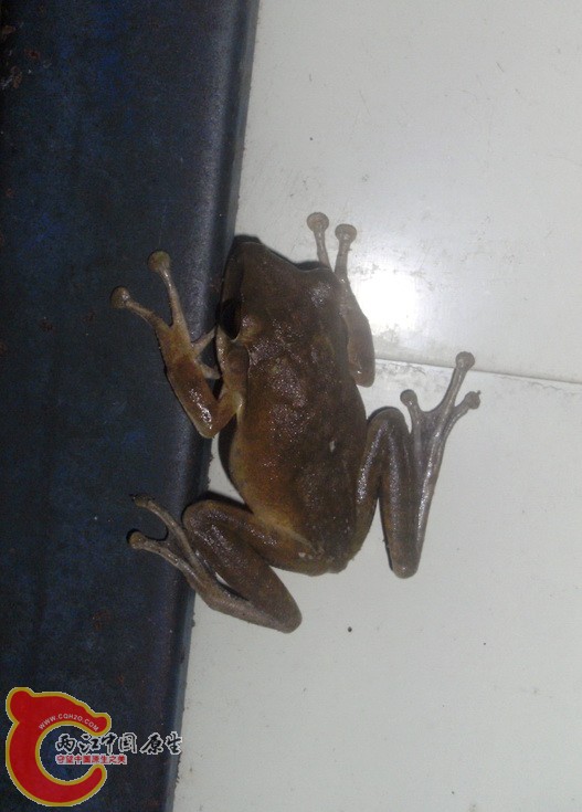 DSCK0367.jpg