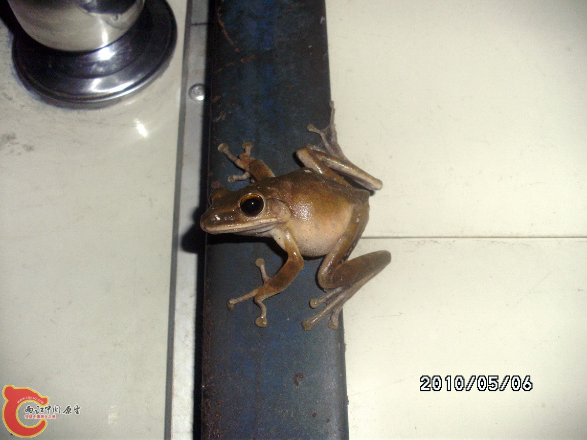 DSCK0366.jpg