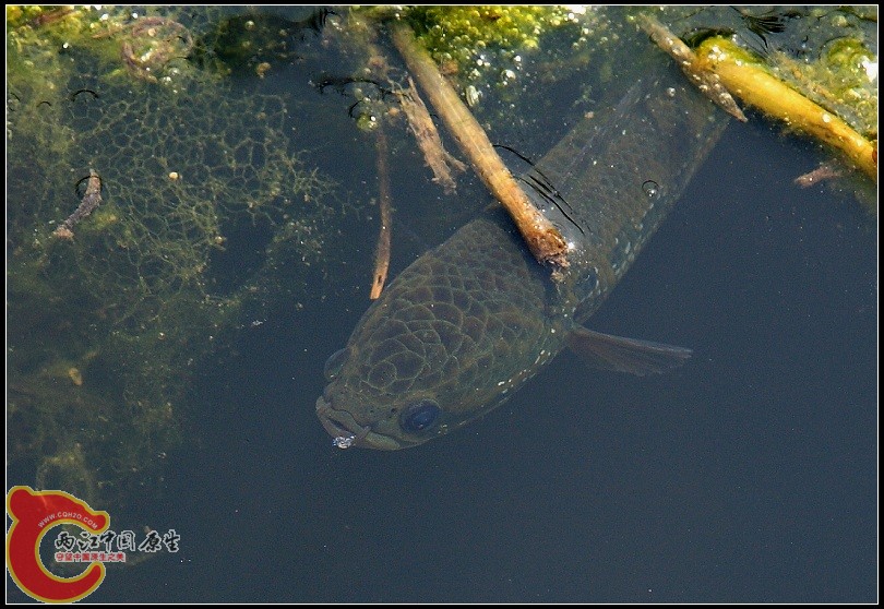 IMG_5672.JPG