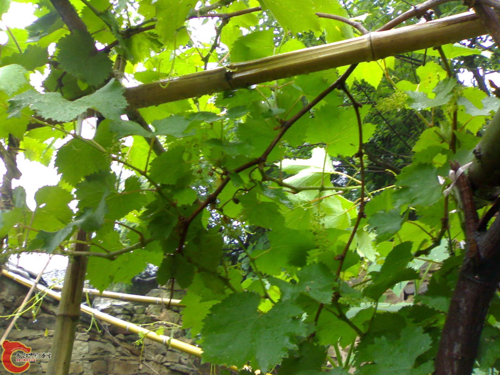 201005161010.jpg