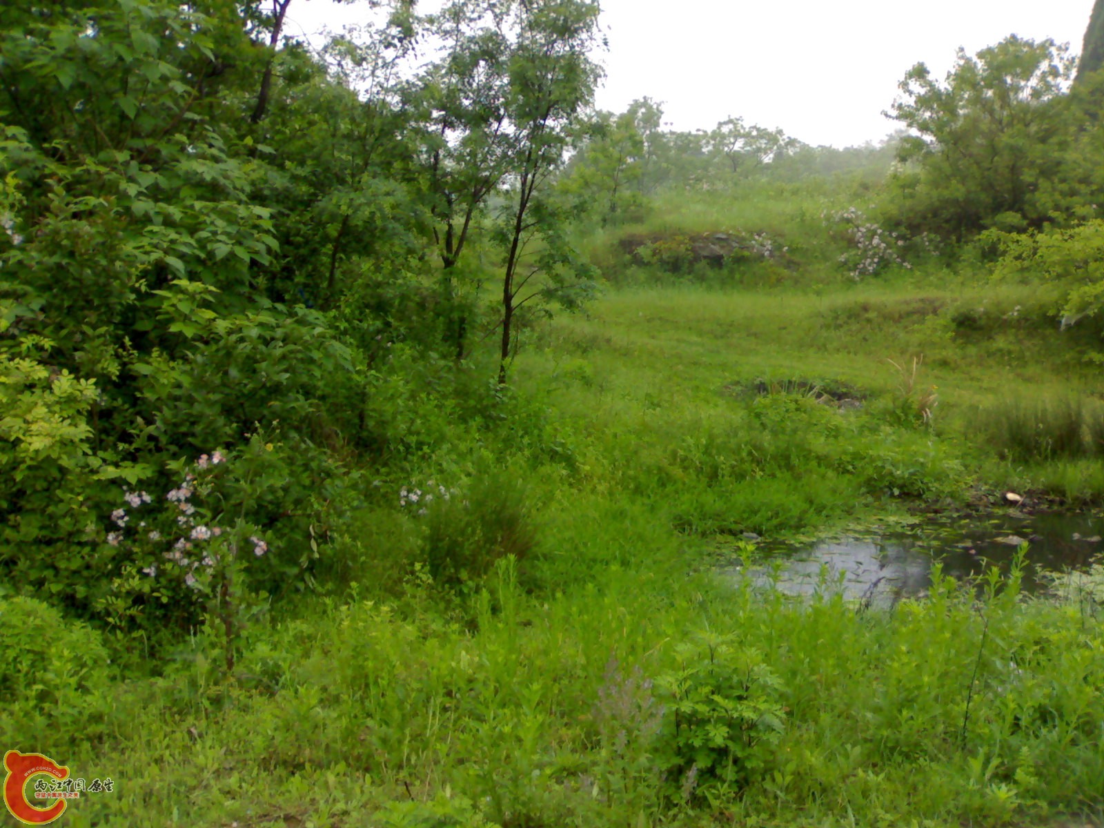 201005161019.jpg
