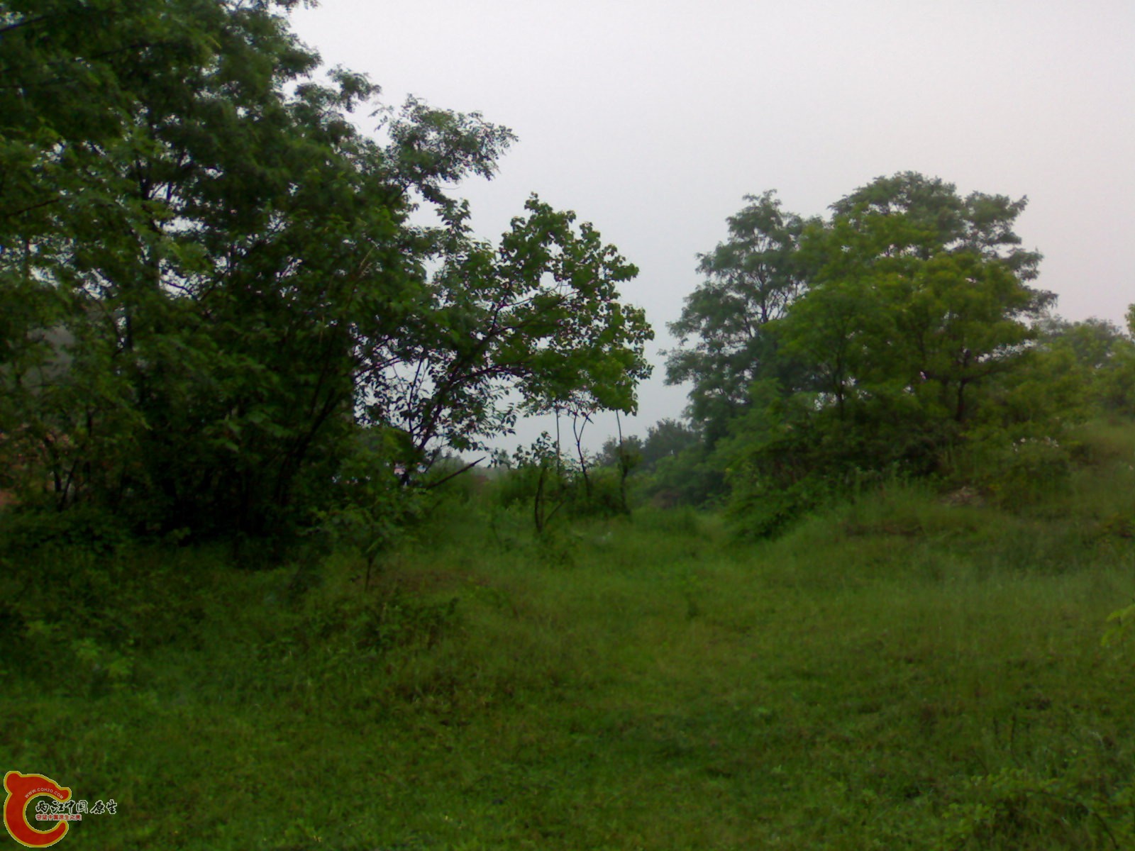201005161022.jpg