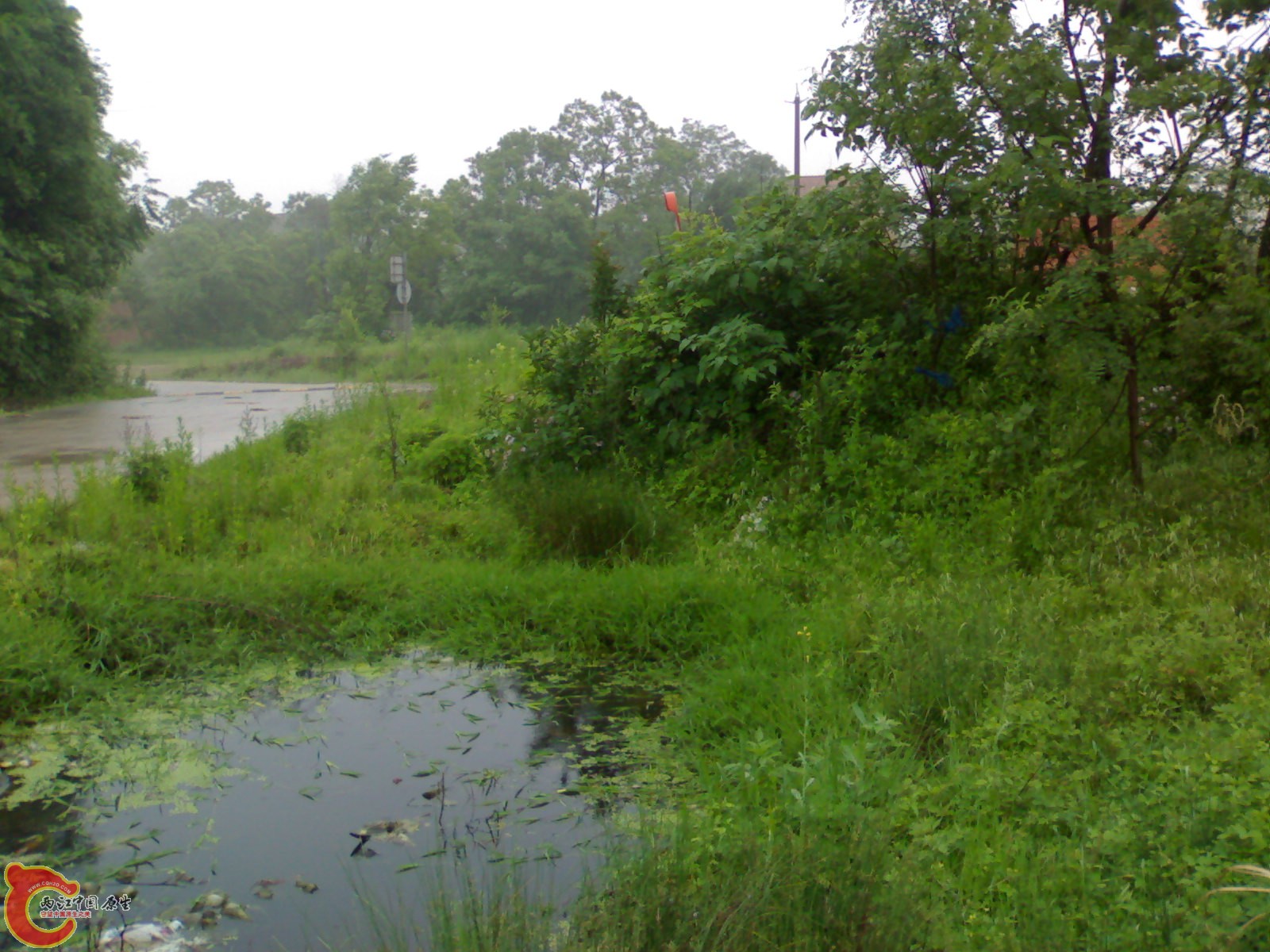201005161024.jpg