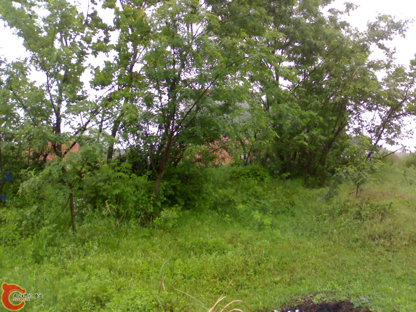 201005161023.jpg