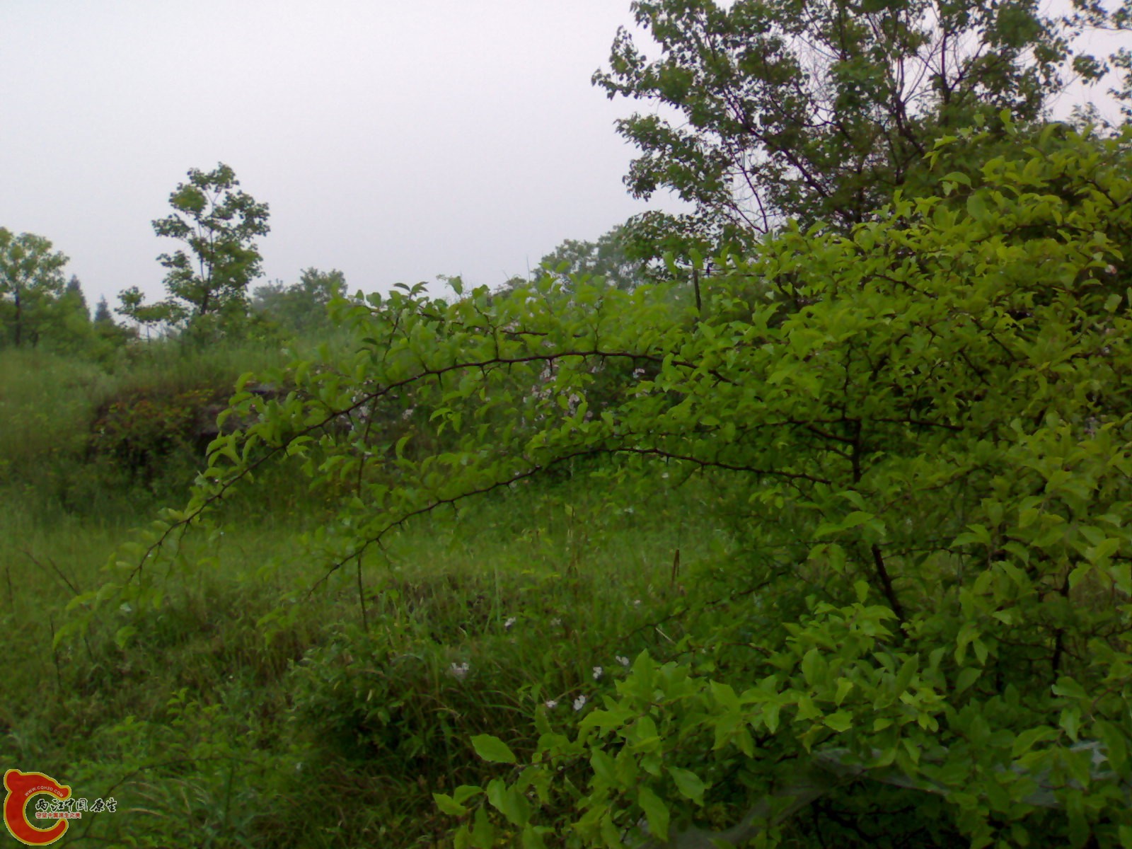 201005161021.jpg