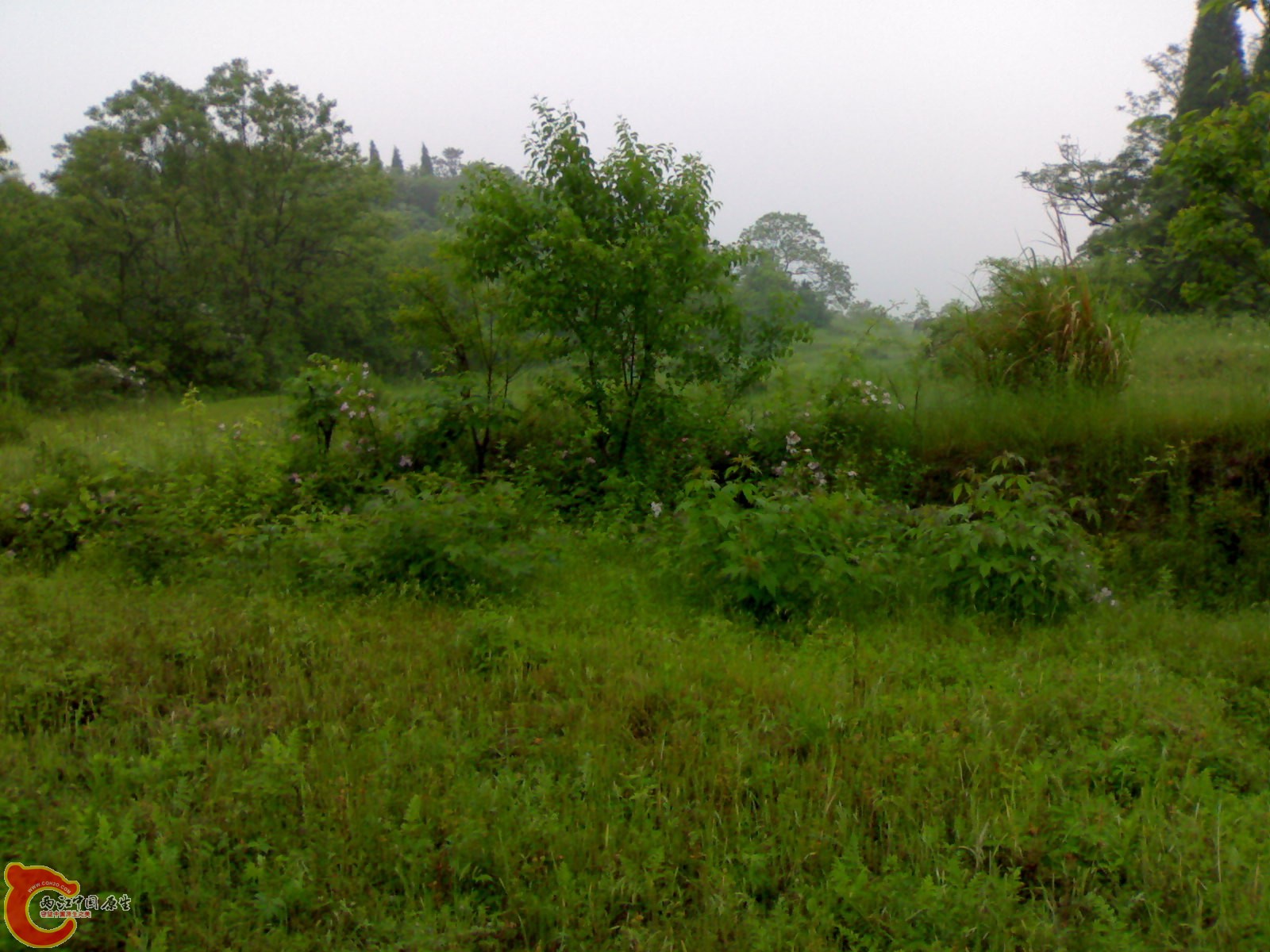201005161031.jpg