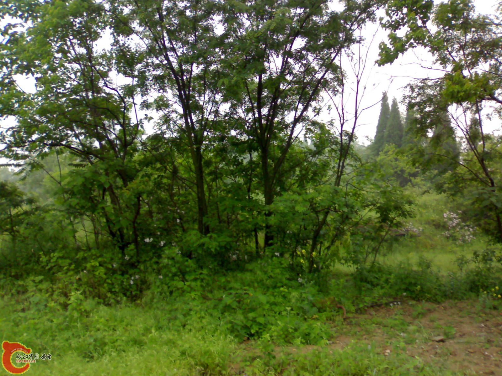 201005161028.jpg