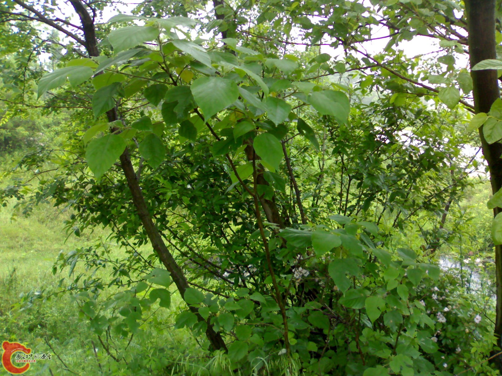 201005161029.jpg