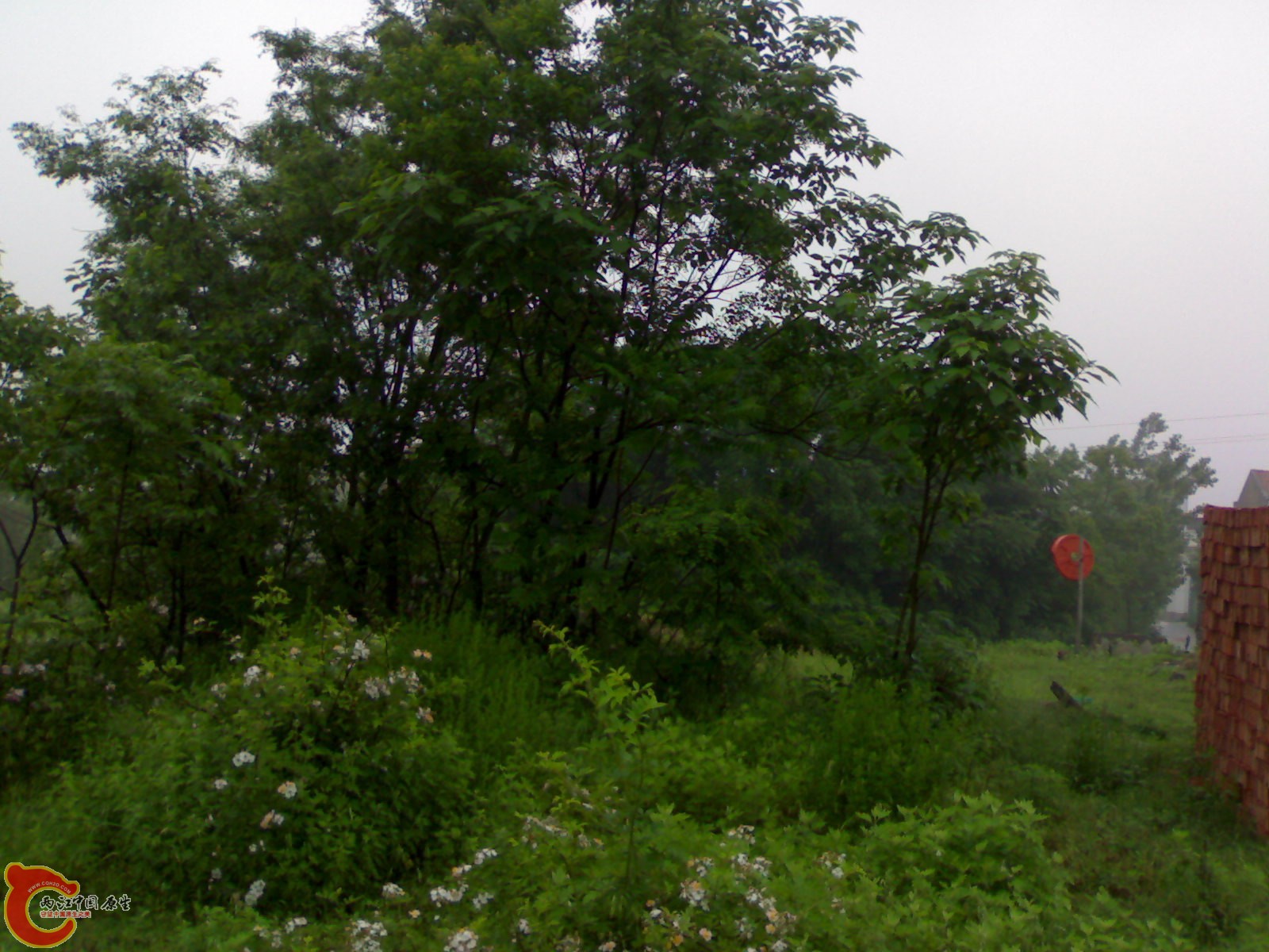 201005161034.jpg