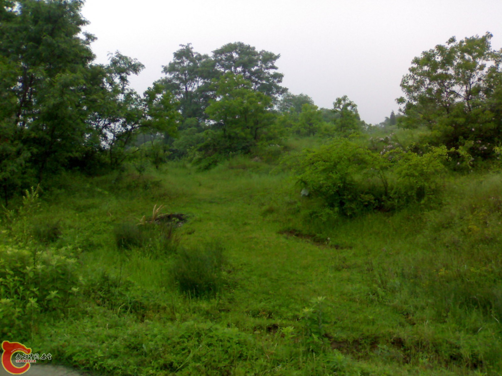 201005161026.jpg