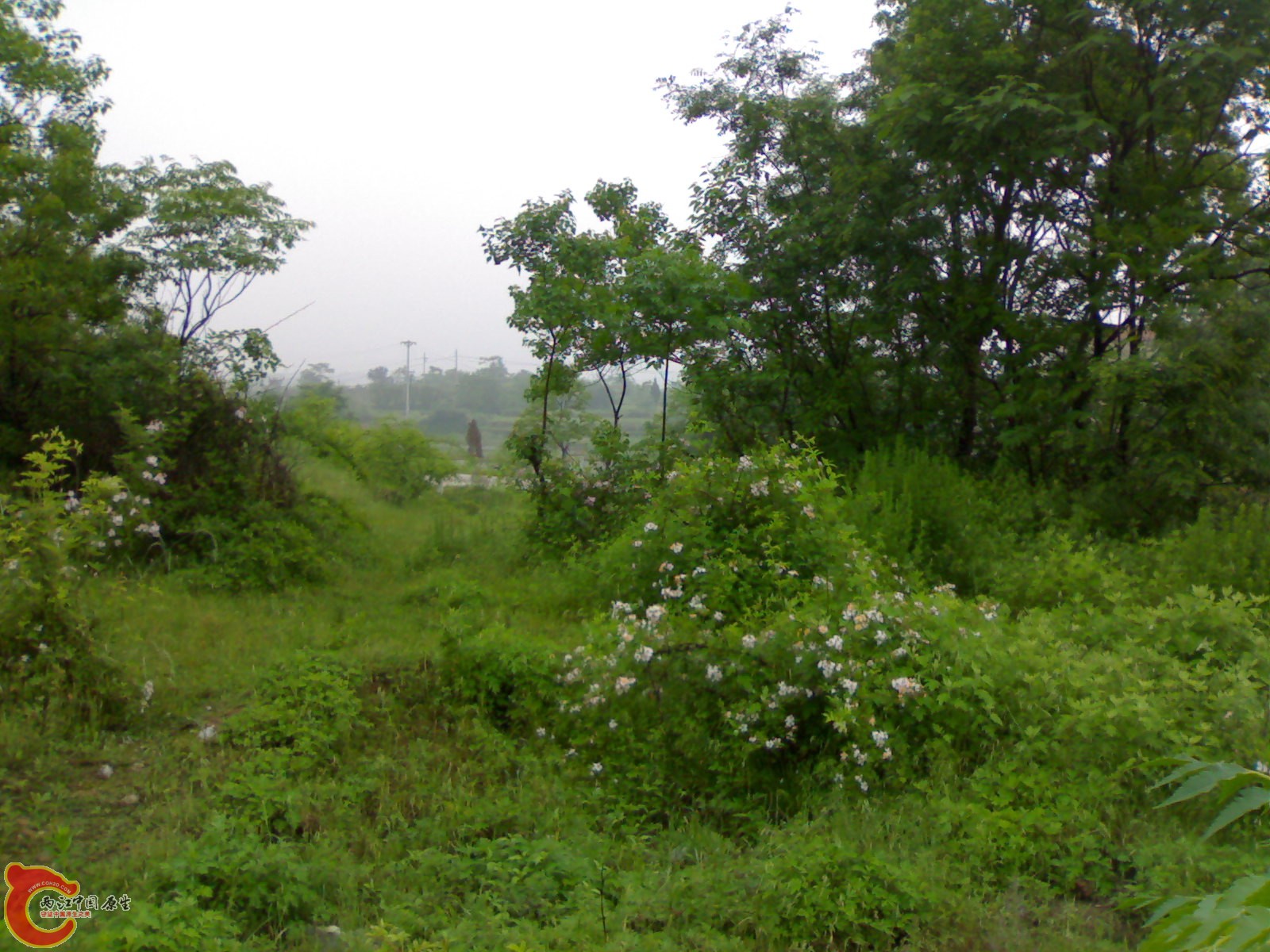 201005161041.jpg