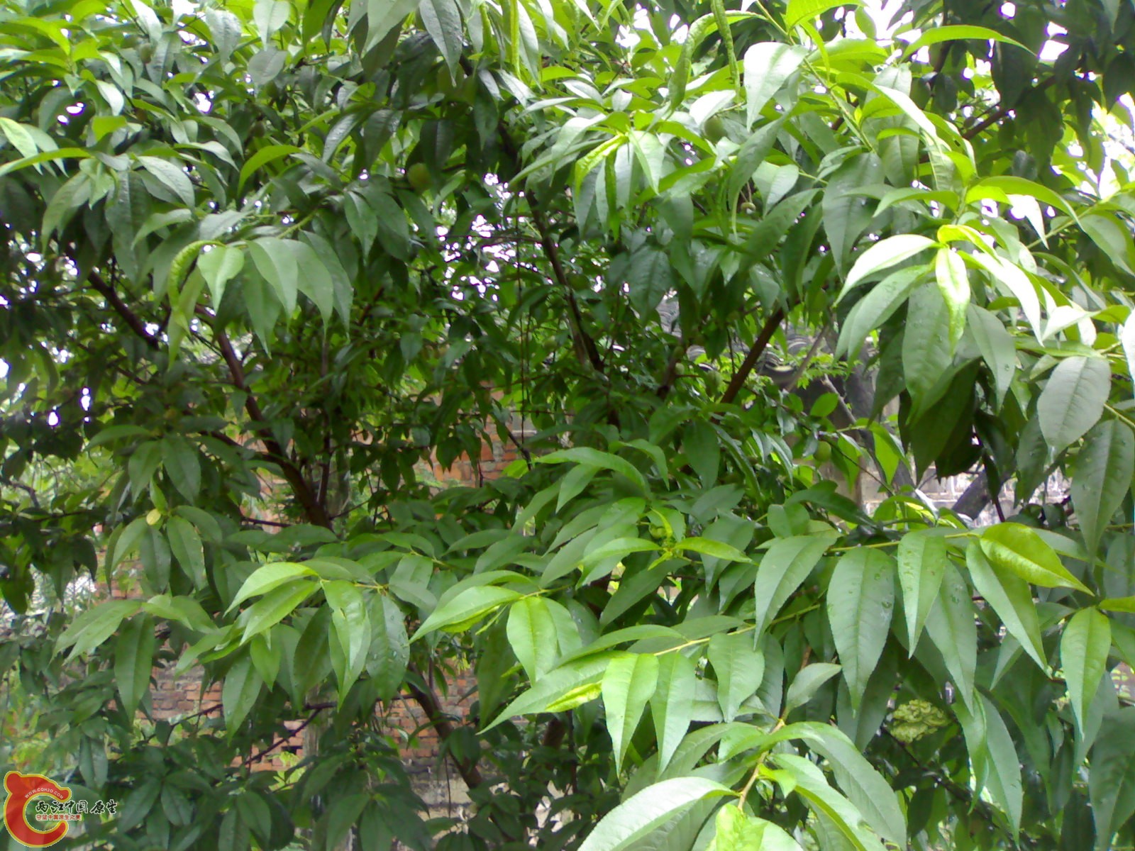 201005161053.jpg