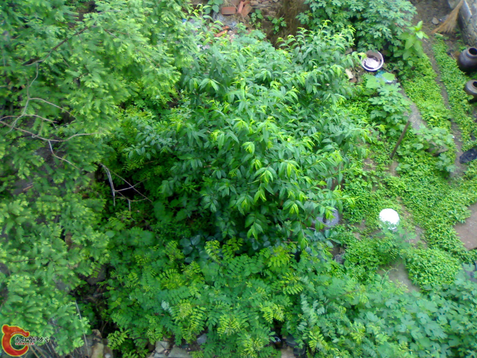 201005161046.jpg