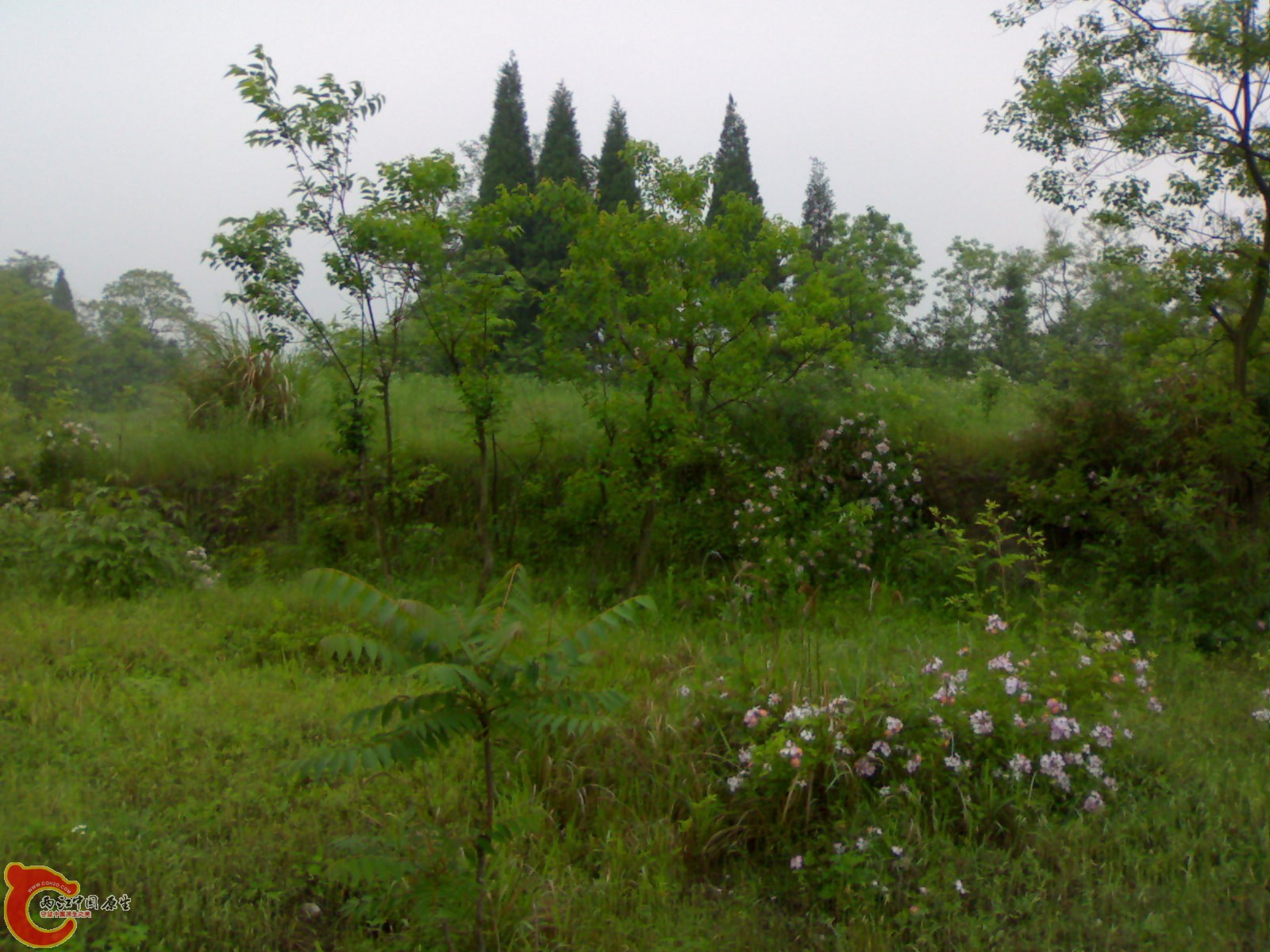201005161040.jpg