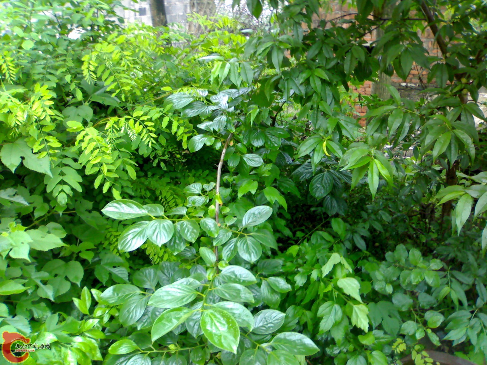 201005161052.jpg