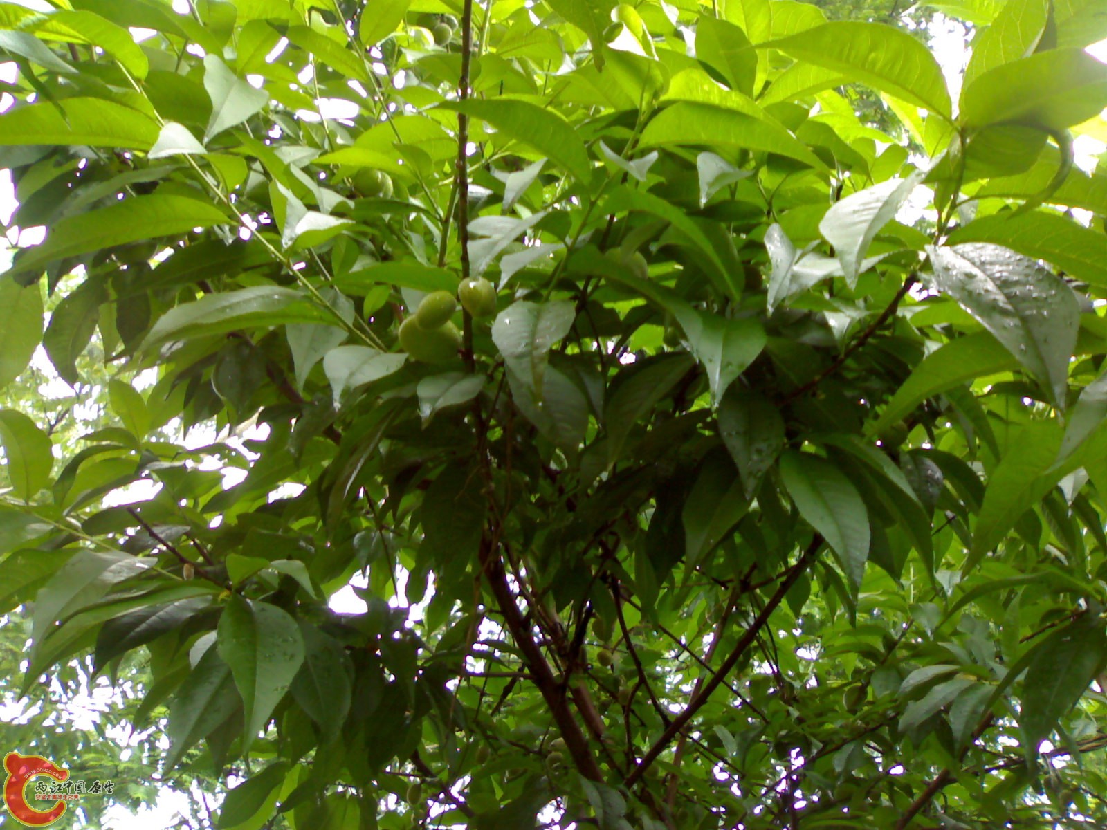 201005161054.jpg
