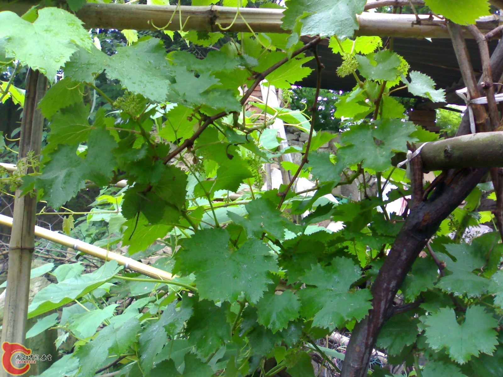 201005161058.jpg