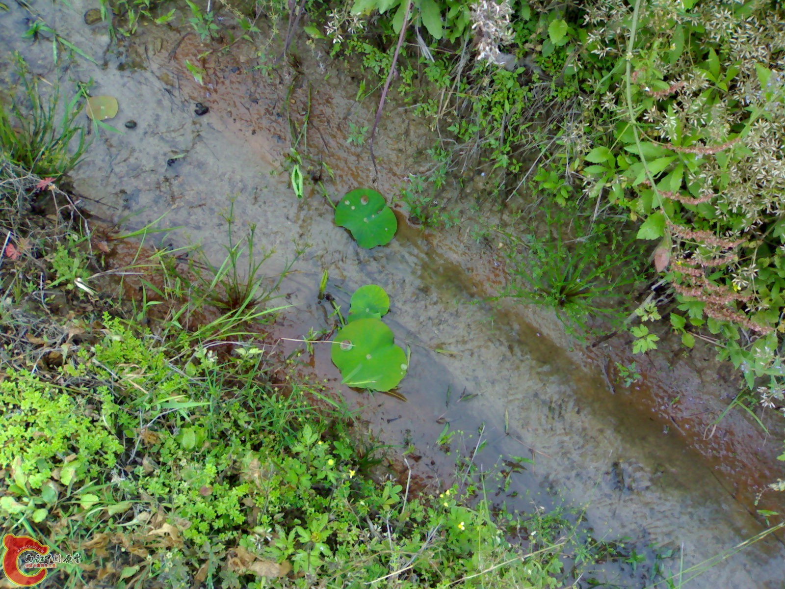 201005161072.jpg