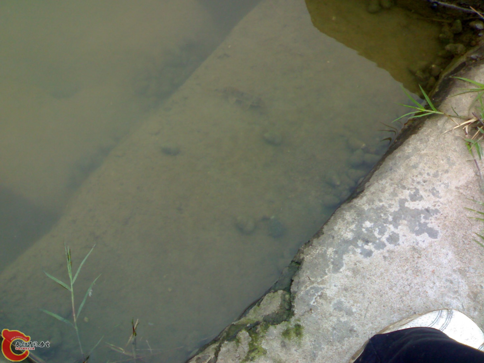 201005161075.jpg