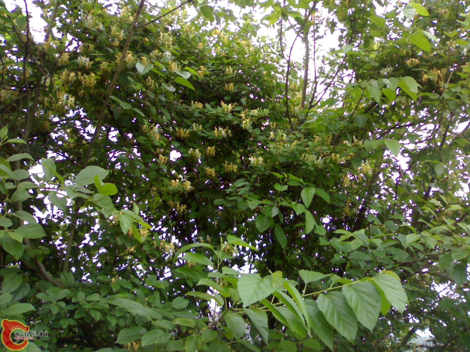201005161069.jpg