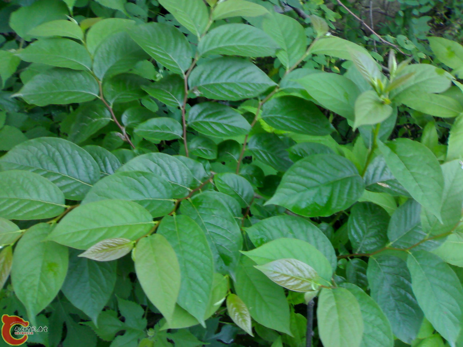 201005161065.jpg