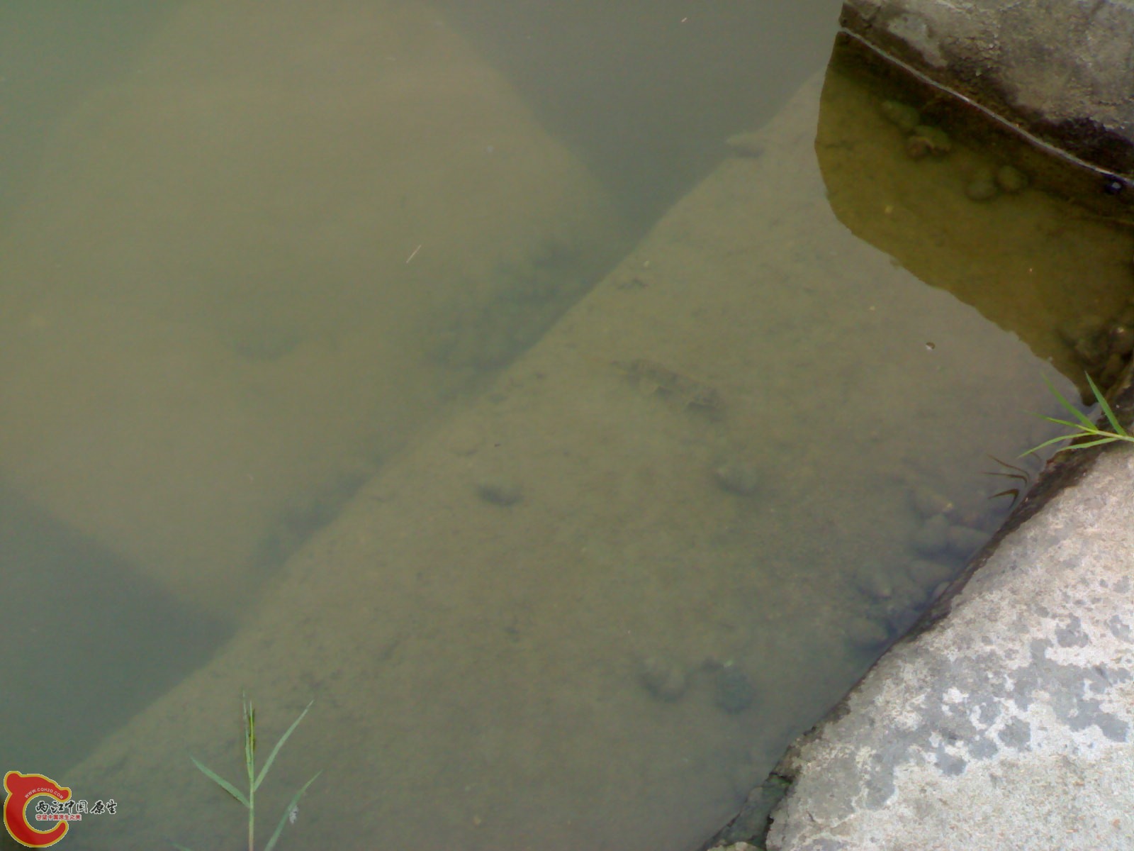 201005161076.jpg
