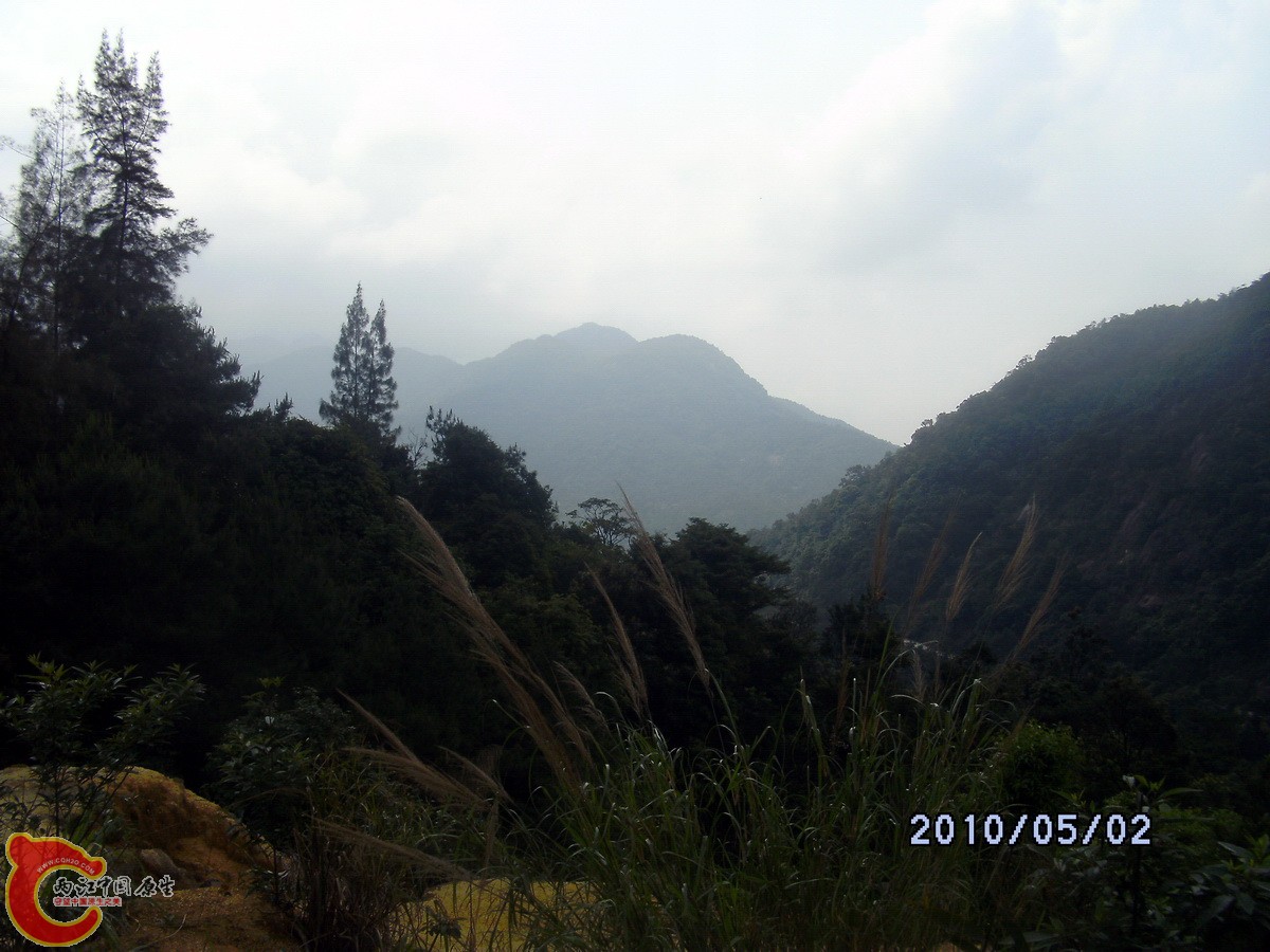 _SCK0201.jpg