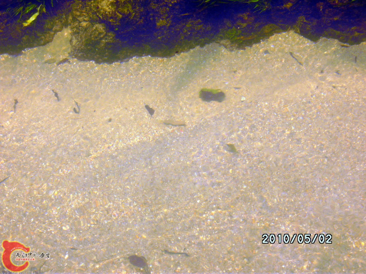 _SCK0210.jpg